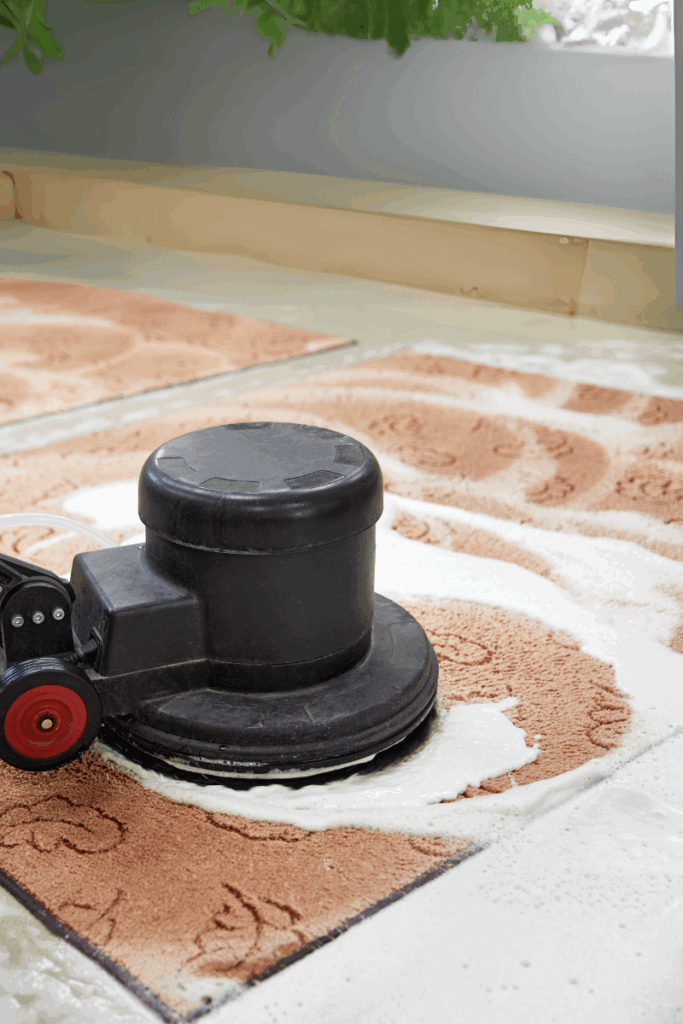best carpet cleaning service dubai falcon city arabian ranch damac hills liwan